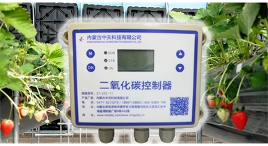 中國北方CO?新技術(shù)，將促進農(nóng)作物光合作用和光合產(chǎn)物的生成