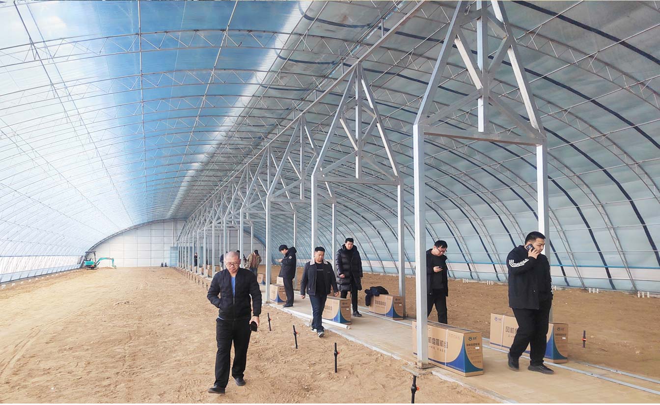 大路鎮(zhèn)苗家灘社區(qū)項目-智能溫室、日光溫室建設(shè)項目_09.jpg